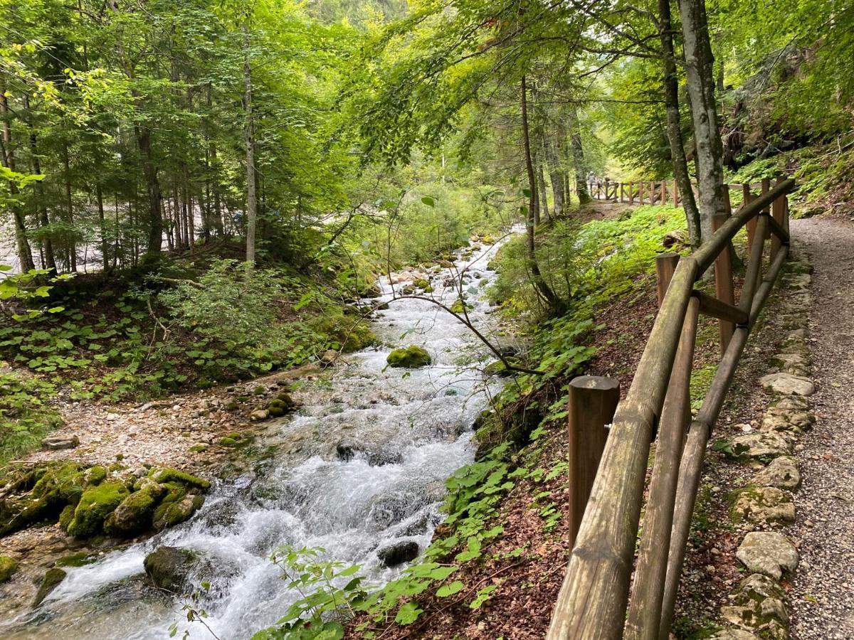 Guest House Vila Moj Mir Rateče Екстериор снимка